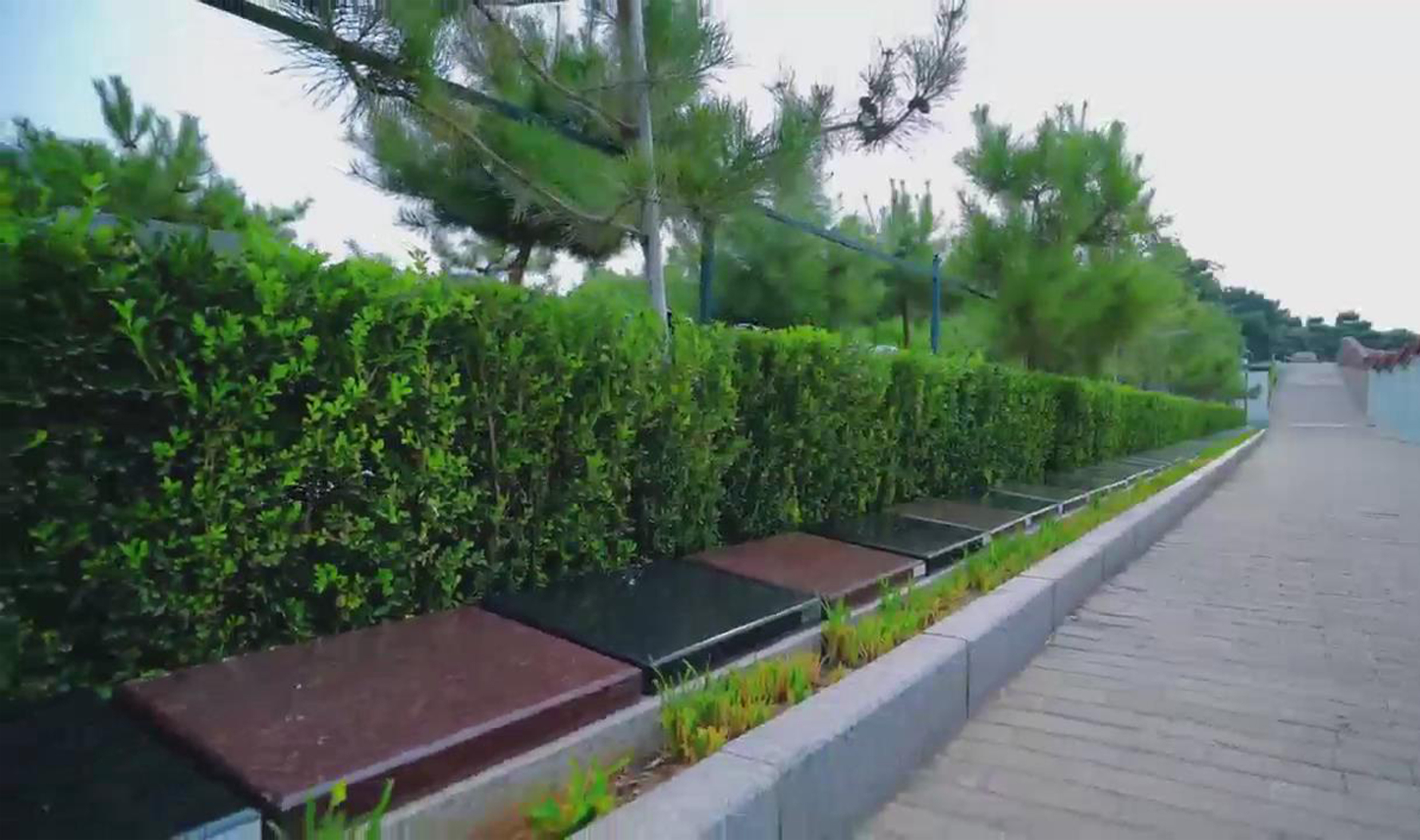 花坛卧碑